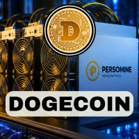 Dogecoin cloud server 1